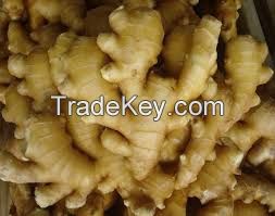 Fresh Ginger from Nigeria available in huge stock