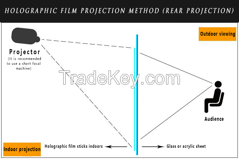 Holographic Rear Projection Film 