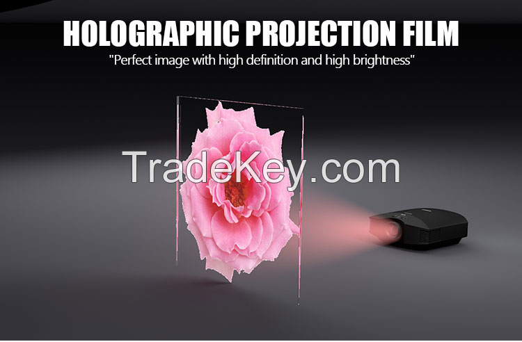 Holographic Rear Projection Film 