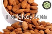 Clean and Best Quality Almond Nuts ready for supply with Discount