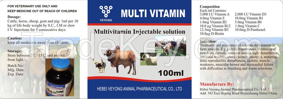 Multivitamin injection for veterinary medicines