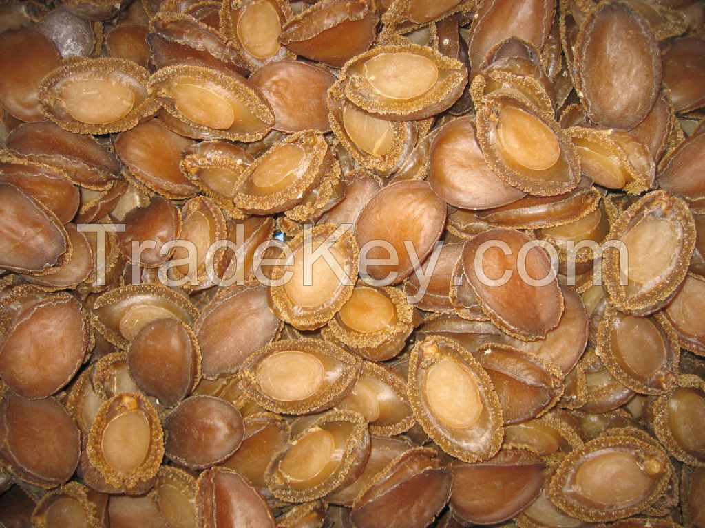 DRIED ABALONES