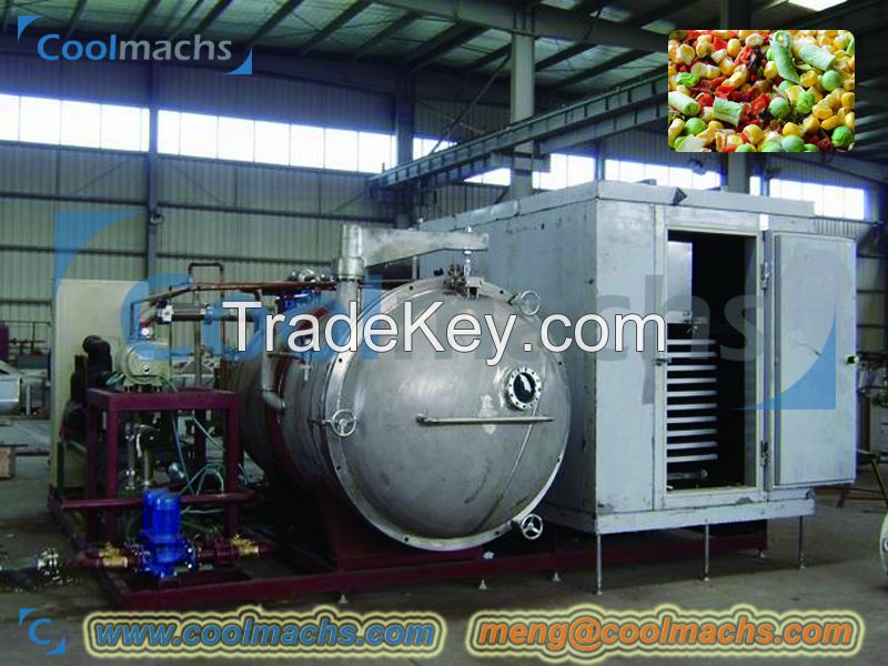 Industrial Vacuum Freeze Dryer / lyophilizer for FD Food production