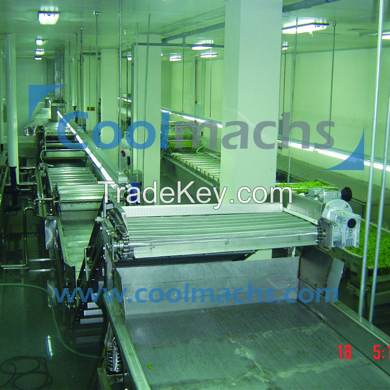 IQF Frozen processing line for Vegetables and Fruits