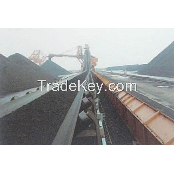 Nylon Conveyor Belt