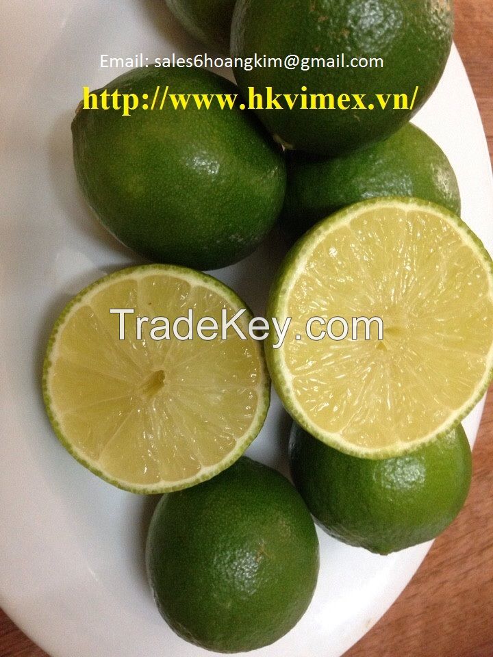 export fresh lemon seedless/ fresh lime