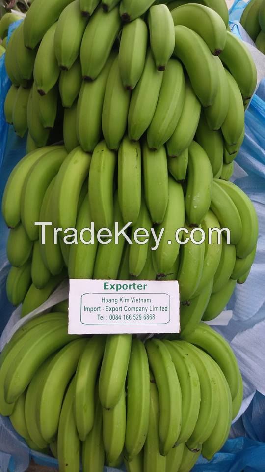 Export fresh banana, good price and good quality