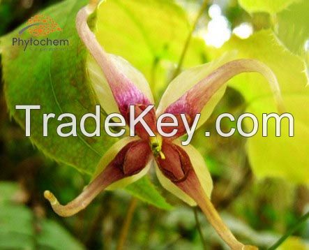 Horny Goat Weed Extract