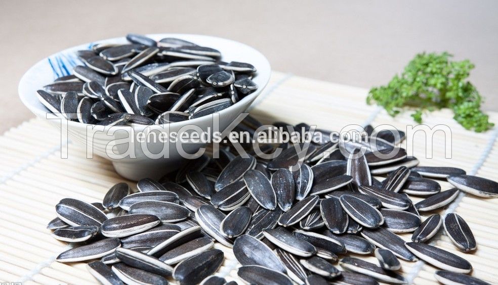 New Crop high quality  Sunflower seeds 