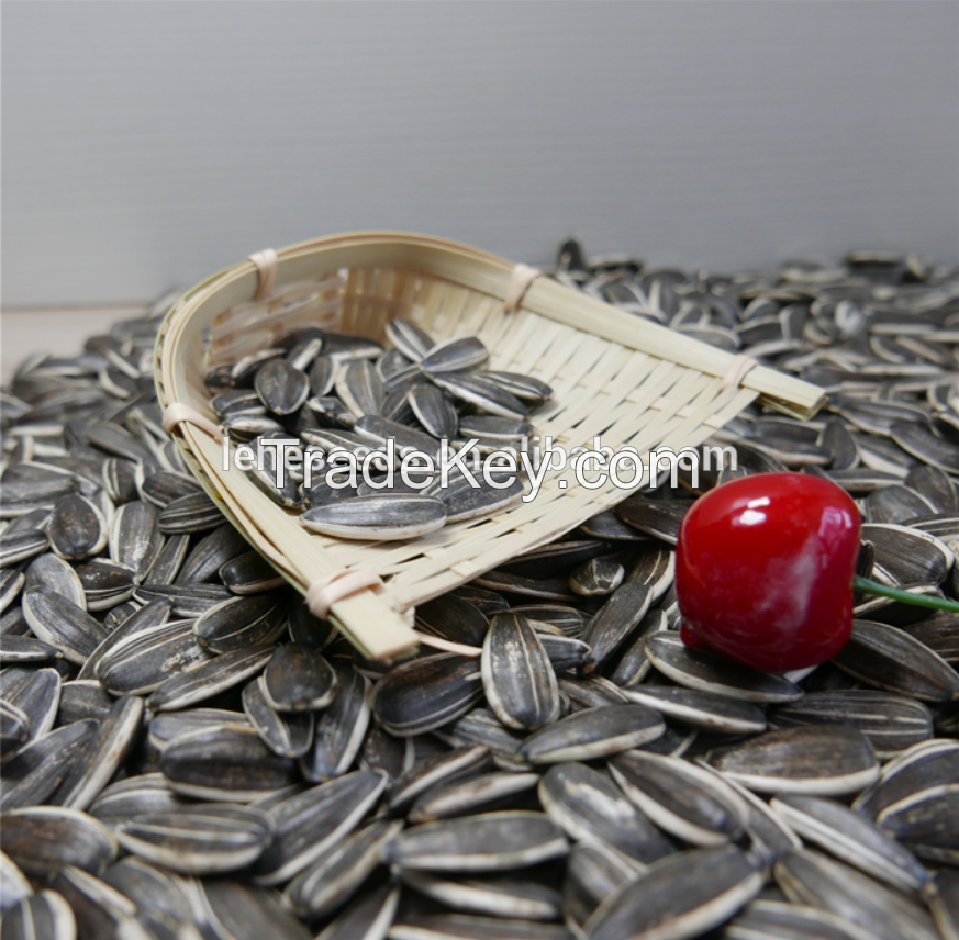 New Crop high quality  Sunflower seeds 