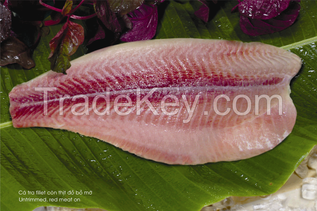 Frozen Pangasius