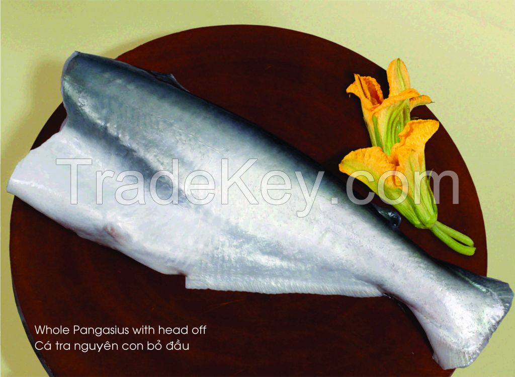 Frozen Pangasius