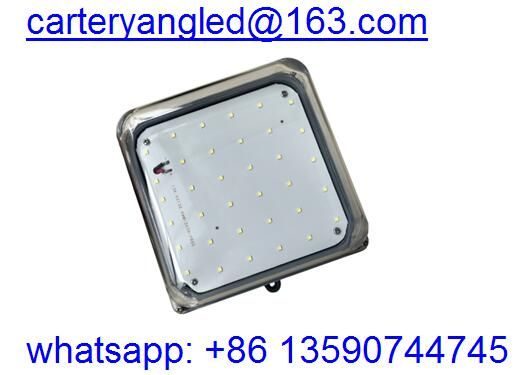 Cold storage led light