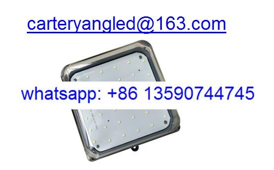 LED Cold Storage Light