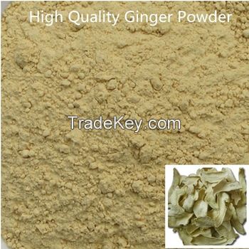 Dehydrated Ginger Powder