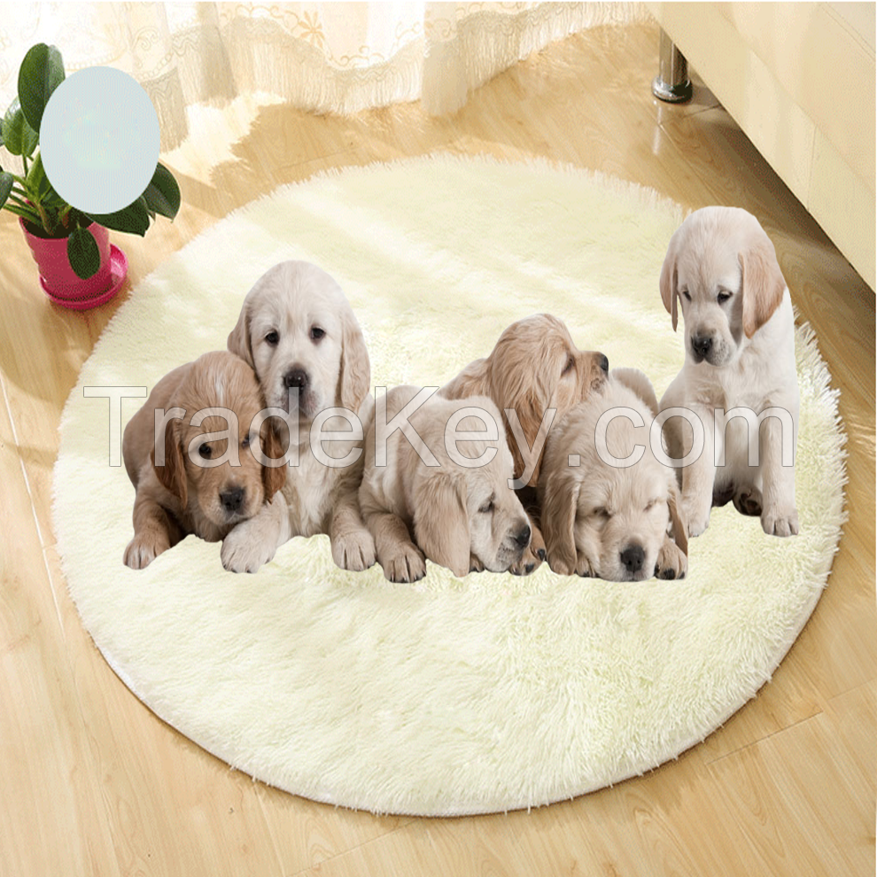 Fluffy pet mat