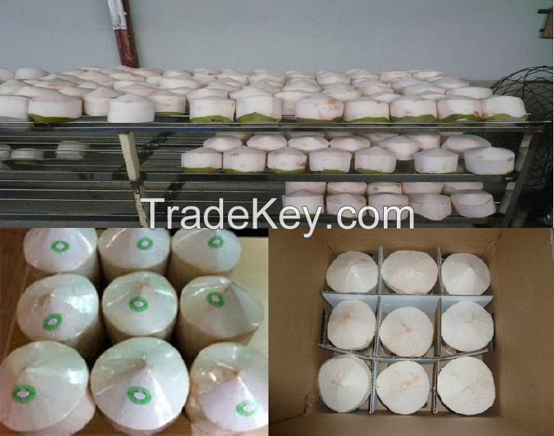 FRESH YOUNG COCONUT (sales3(at)vegionbiotech(dot)org)