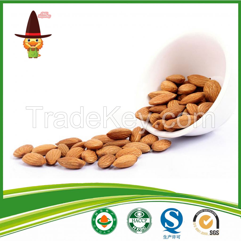 Sweet Apricot Kernel Wholesale Price