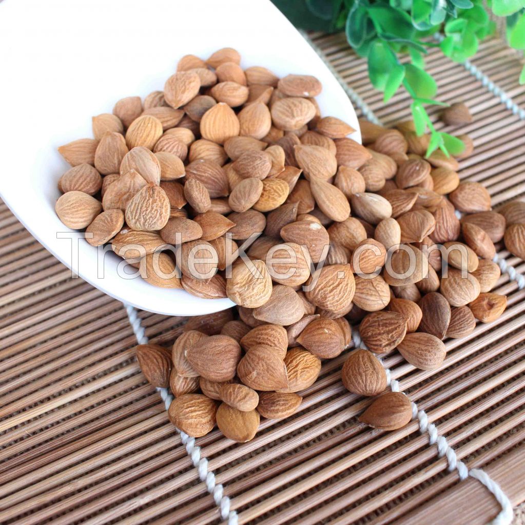 top quality raw organic bitter almond, almond seed, low price apricot kernel for sale