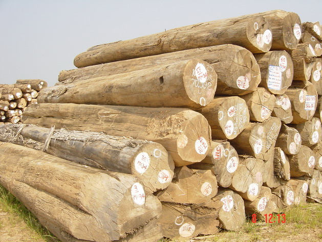 round wood logs