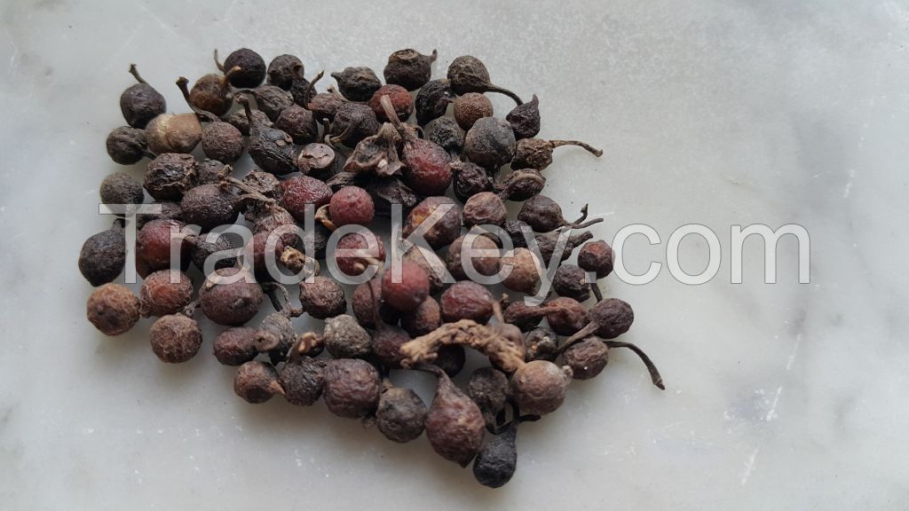 Black Pepper (Piper Guineense)