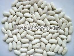 White Kidney beans