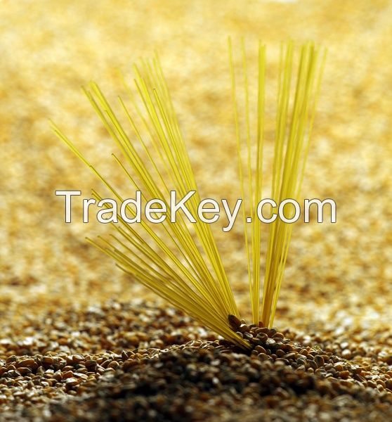 Gluten-free pasta -Spaghetti Using Corn flour 1.2mm (1000g)