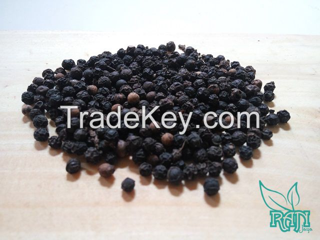 Black Pepper Lampong Asta Quality