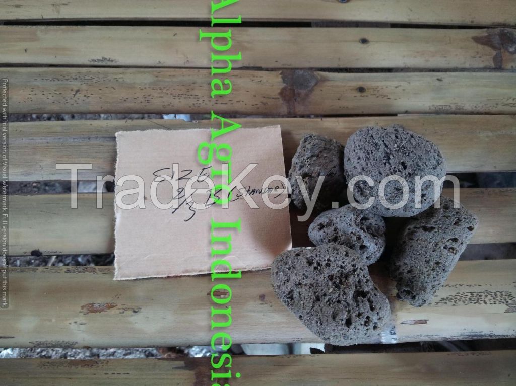 Pumice Stone 