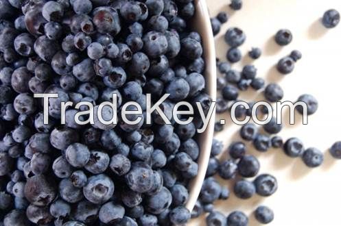 IQF Organic Bilberries Grade "A"