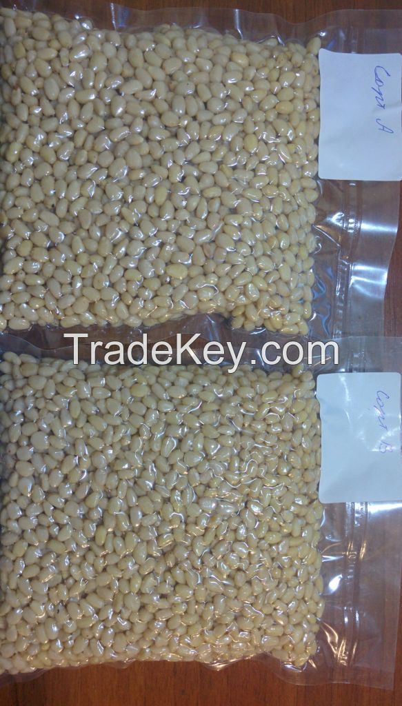 Organic Pine Nut Kernels