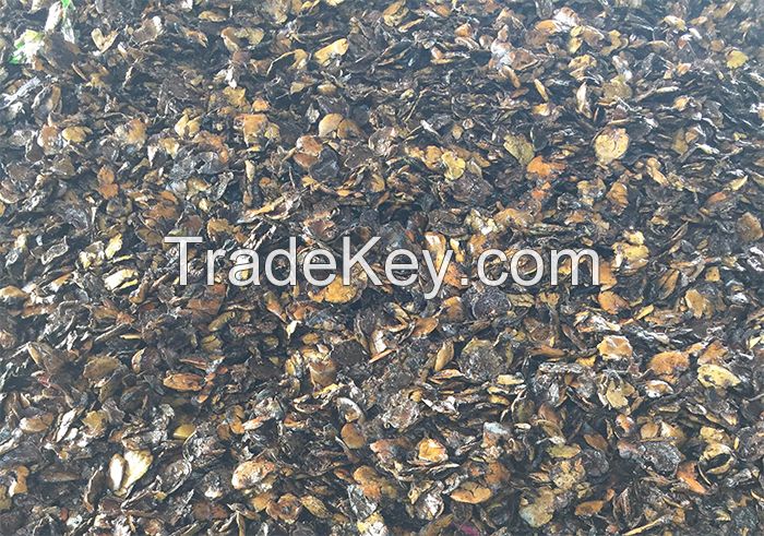 Cashew Shell Waste Supplier