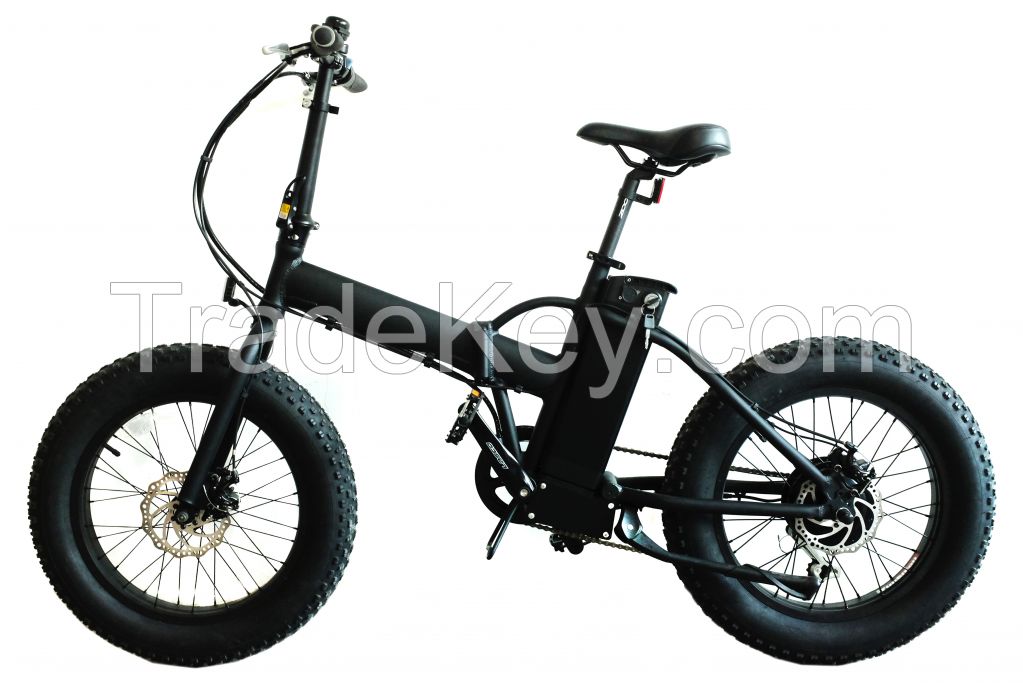 Electric mountain bike