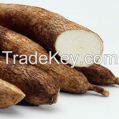 Tapioca starch for food and industrial grade