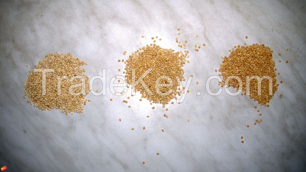 millet, oats