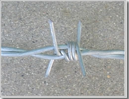 barbed wire