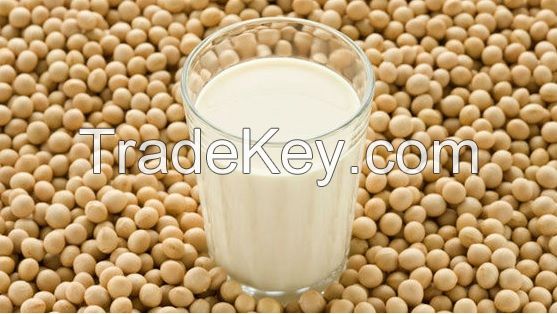 Organic soy milk powder