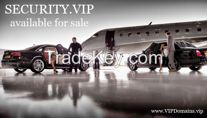 domain name SECURITY .VIP  for sale