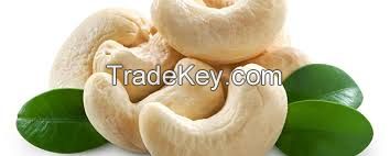 Cashew Nuts