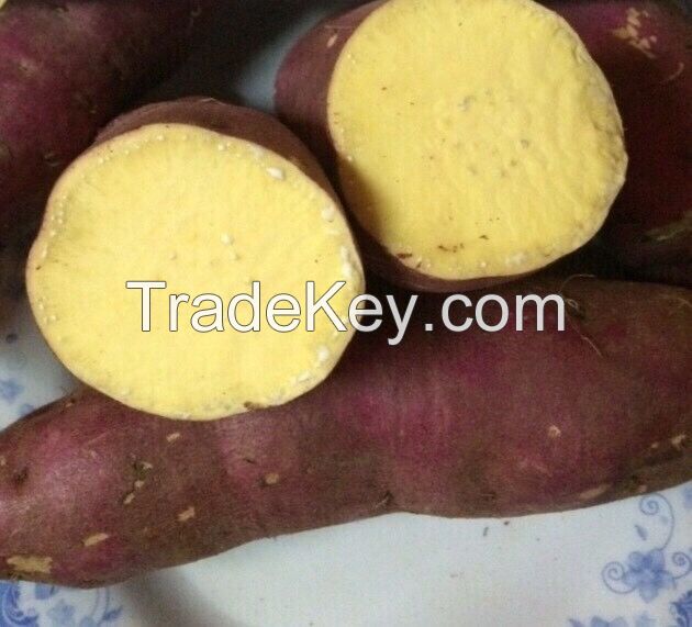 Sweet Potatoes