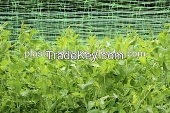 cucumber Pea & bean plant support netting