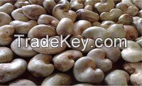 Raw cashew nuts