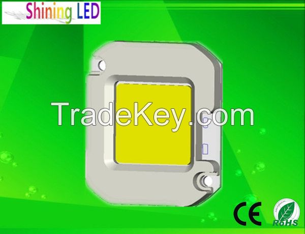 Driverless AC 110V/220V COB LED Chip 50W for Floodlight Highbay Light