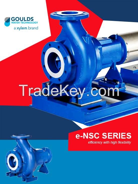 e-NSC Cast Iron End Suction Pumps