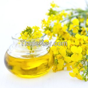 Rapeseed oil for biodisel and cook