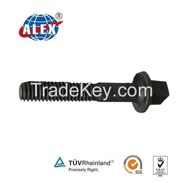 Factory Customized 35# Steel Bluing Railroad Screw Spike