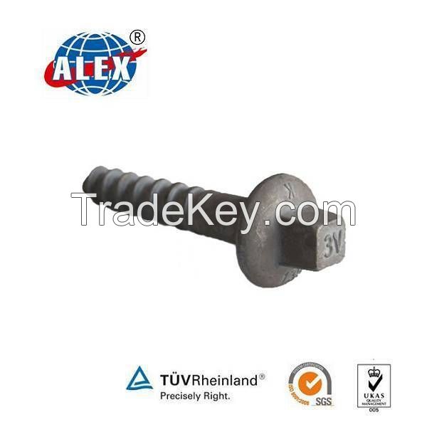 Hot-dipped Galcanizing railway screw spike for Track Fittings