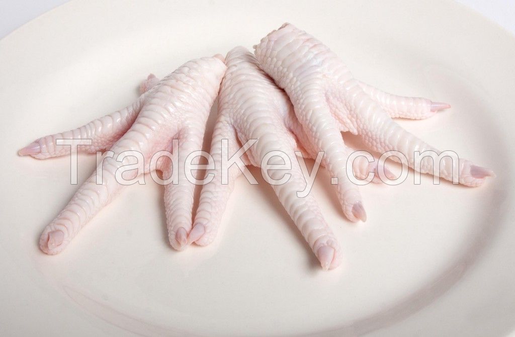 Processed Grade A Halal Chicken Paws