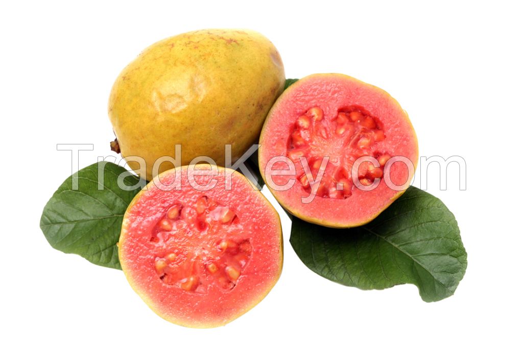 Frozen guava fruit pulp