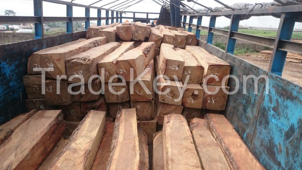 Kosso Wood (Rosewood) Logs